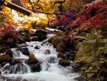 Autumn Colors with Photoshop Tutorial: Final Result