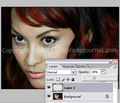 Creating Custom Copyright Brush Tutorial: Final Result