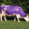 milka