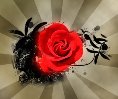 containing the rose flower rose flower drawing. containing the rose flower