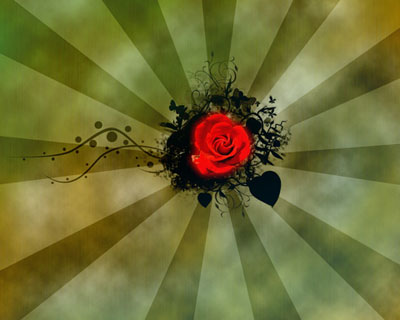 Rose for Saint Valentine's Day