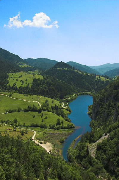 Using Photo Filter Tutorial: Final Result