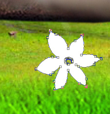 image 33