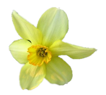 image 27