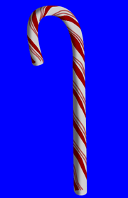 image 28