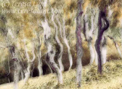 Dappled Trees Tutorial: Final Result