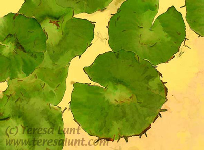Lilypads Tutorial: Final Result