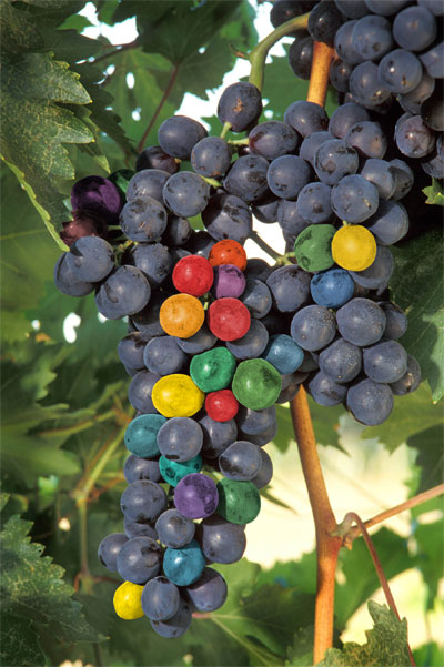 grapes color
