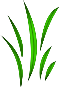 Grass Leaves Tutorial: Final Result