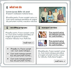 Image from Web Promotion Articles: Content is King