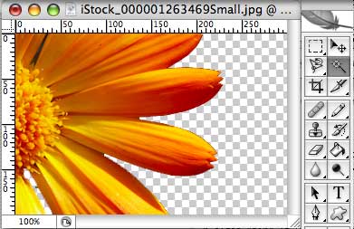 The Magic Wand Tool Tutorial: Final Result