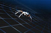 Role Of Spider in SEO