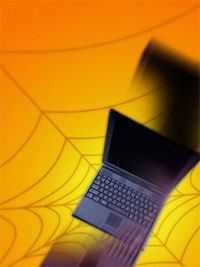 Role Of Spider SEO