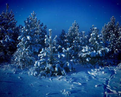 Siberian Winter Tutorial: Final Result (Click to enlarge)