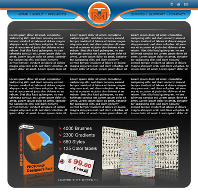 Web 2.0 Business Layout Tutorial: Final Result (Click to enlarge)
