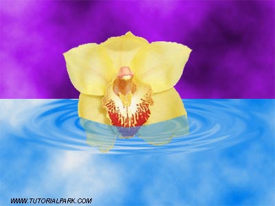 Flower on the Water Tutorial: Final Result