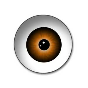 A Human Eye
