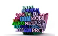Selection of Domain Name - How to Start best Business on Internet?