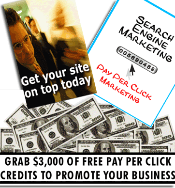 Pay Per Click Advertising