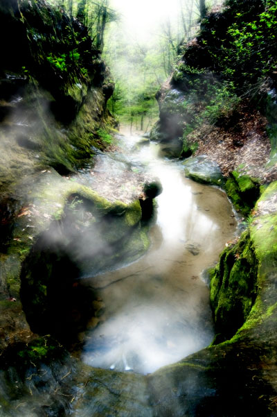 Add a Dreamy or Misty Effect To Your Photos Tutorial: Final Result