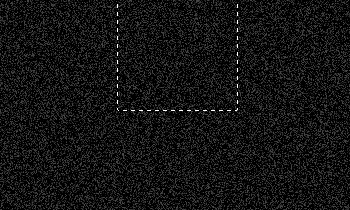 image 16
