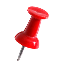 pin