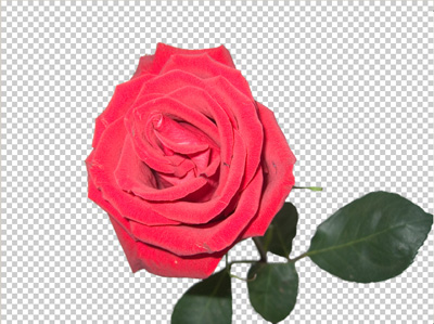 Click to enlarge