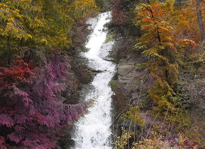 Changing the Color of the Picture Tutorial: Final Result (Click to enlarge)