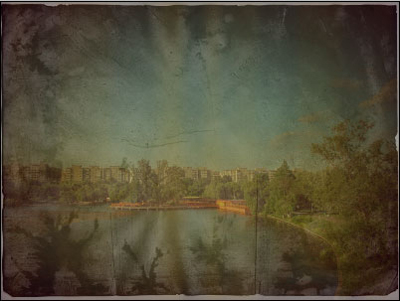 image 29