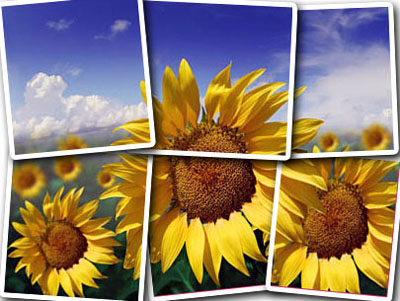 Puzzle Effect