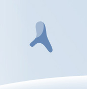 image 41