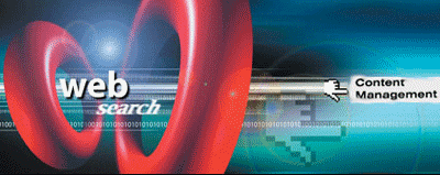 Top Search Engine Ranking Using Content Management Systems