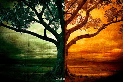 Cold and Warm Photo Effect Tutorial: Final Result