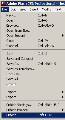 Learn Flash with a Simple Example!
