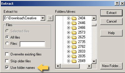 WinZIP Extract Window