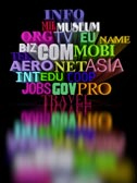 Favorable Name Rules or how to Select Appropriate Domain Singly