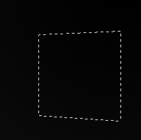 image 29