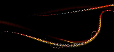 Metallic Wires Tutorial: Final Result