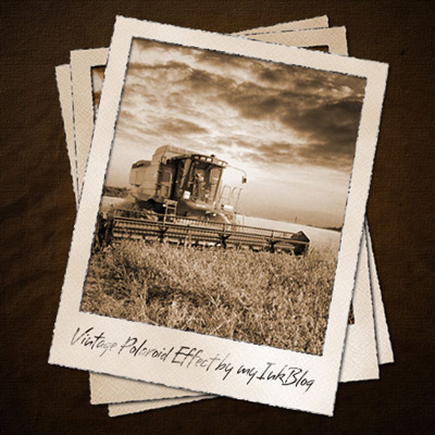 Создать Vintage Polaroid эффект Учебник: конечный результат