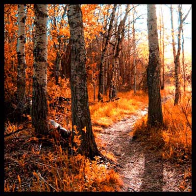Instant Autumn Tutorial: Final Result