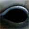 Material Image