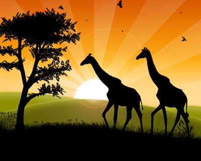Natures Sunshine Tutorial: Final Result (Click to enlarge)