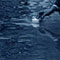 Material Image