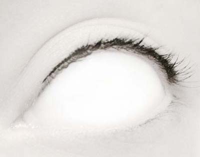 white_eye_7.jpg