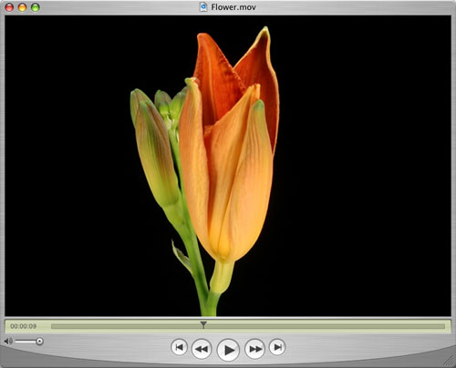 Creating a DVD Menu in Photoshop CS3 Extended image 1