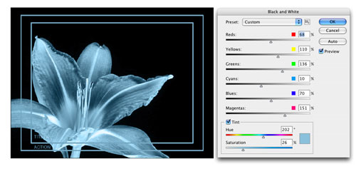 Creating a DVD Menu in Photoshop CS3 Extended image 5
