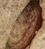 image 30