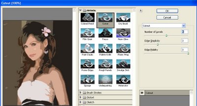 Photo to illustration Vector Effect image 3