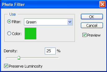 Photo to illustration Vector Effect image 5