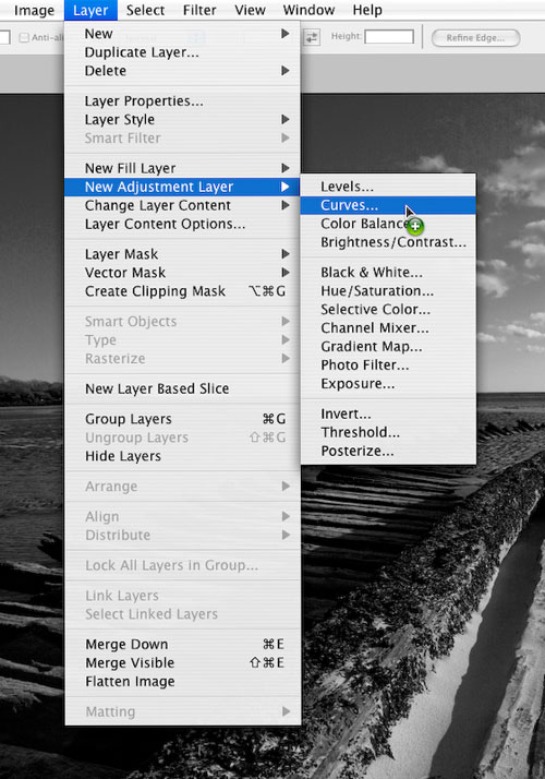 Black and White Toning in Photoshop CS3 image 4